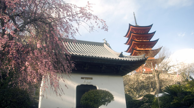  ���� ������ ������ ������ 