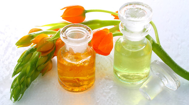  ����� �������� ����� ������� ������ ����� ���� ������� 