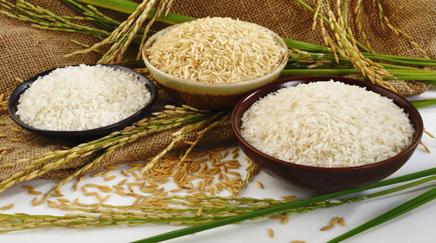  ��� ���� ����� ������� ����� ���������� ������� ���� 