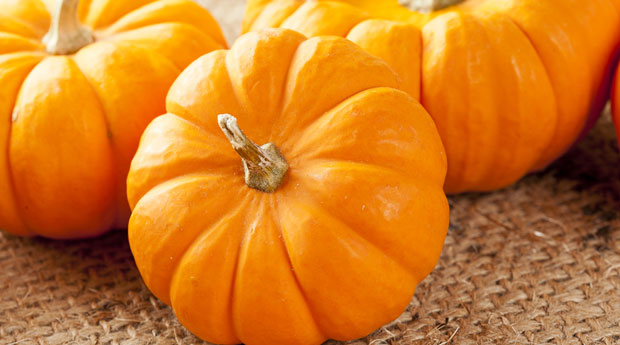  false locked lsdexception priority unhidewhenused semihidden accent medium 