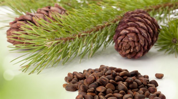  false lsdexception locked priority unhidewhenused semihidden accent medium 